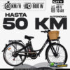 Bicicleta eléctrica City 48V 10AH con autonomía de 50km, velocidad máxima 40km/h y potencia 800W