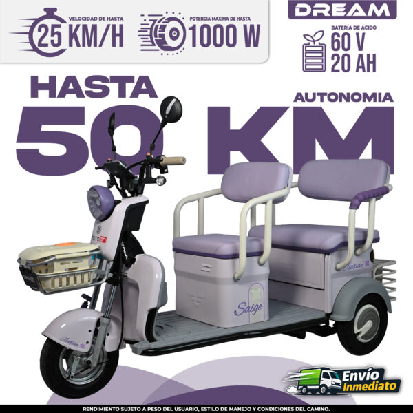 Triciclo eléctrico DREAM 50km autonomía 1000W batería 60V morado